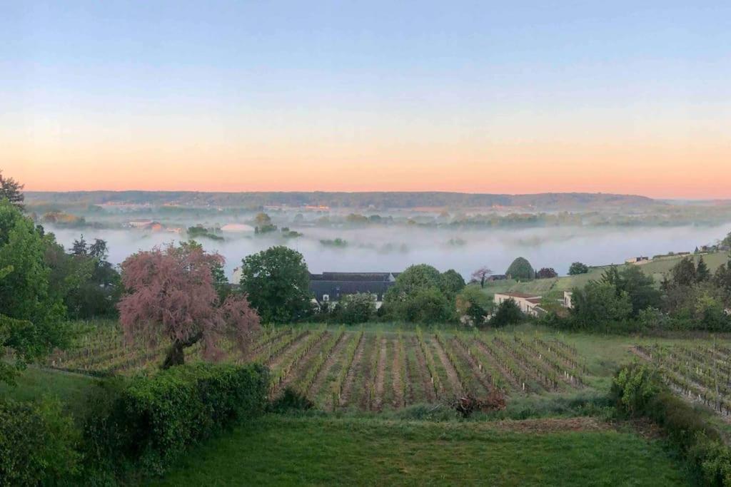 Maison Vue Panoramique Depuis Le Coteau De Шинон Экстерьер фото