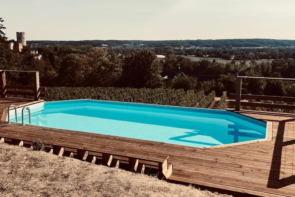 Maison Vue Panoramique Depuis Le Coteau De Шинон Экстерьер фото